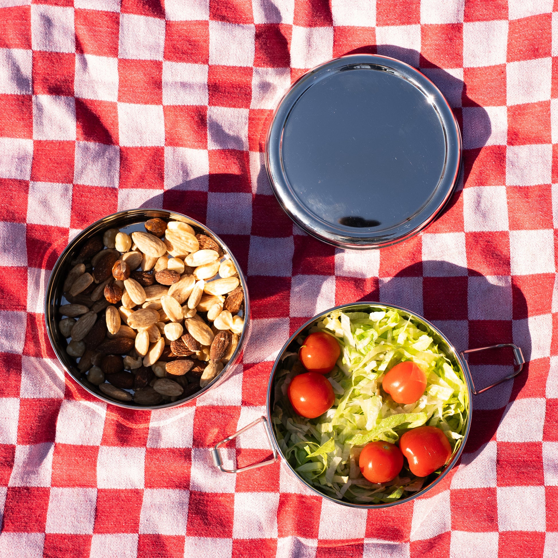 Open stainless steel lunch box on a picnic blanket with healthy snacks