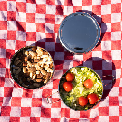 Open stainless steel lunch box on a picnic blanket with healthy snacks